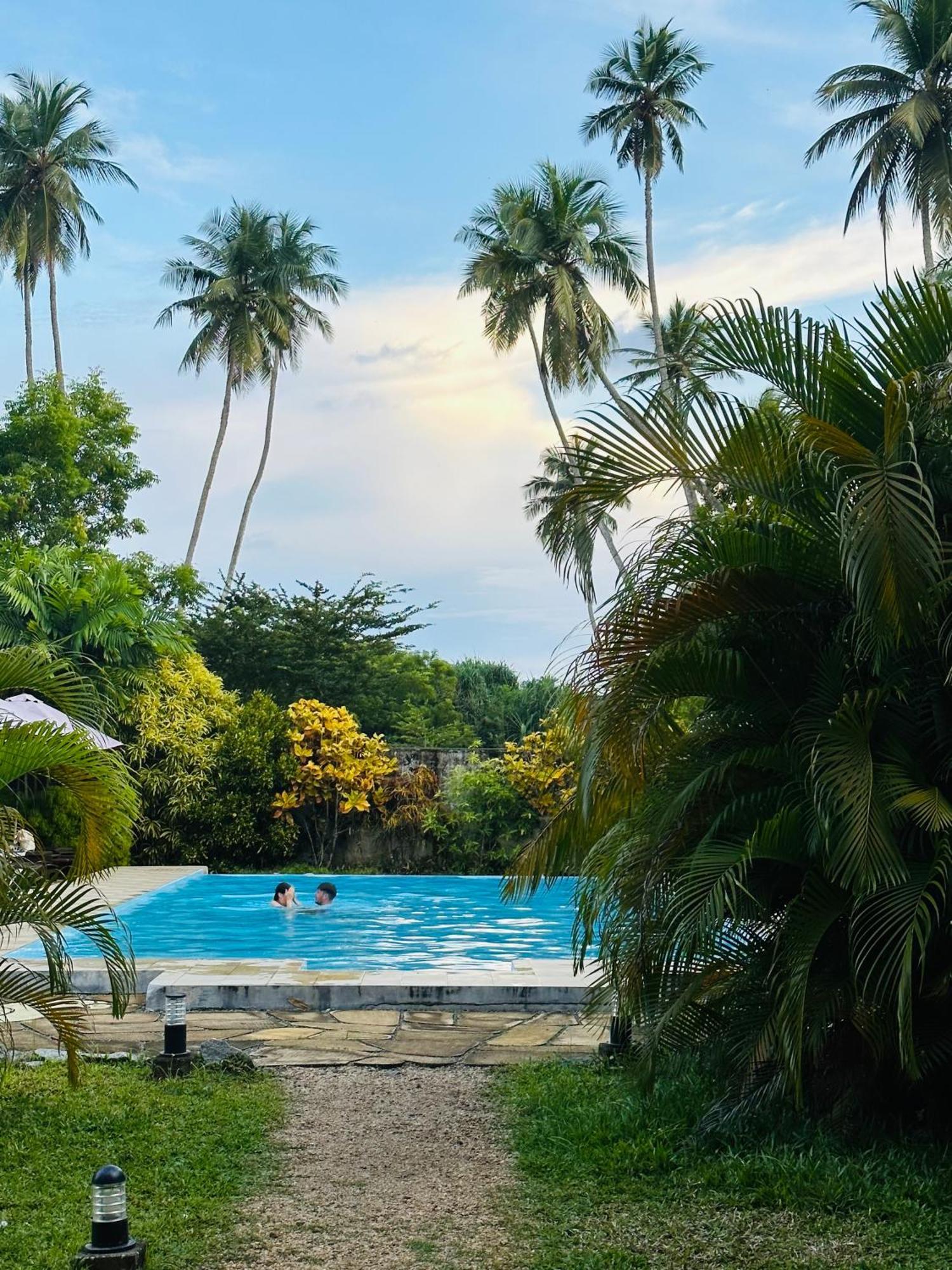 Green Parrot Beach Resort Tangalle Eksteriør billede