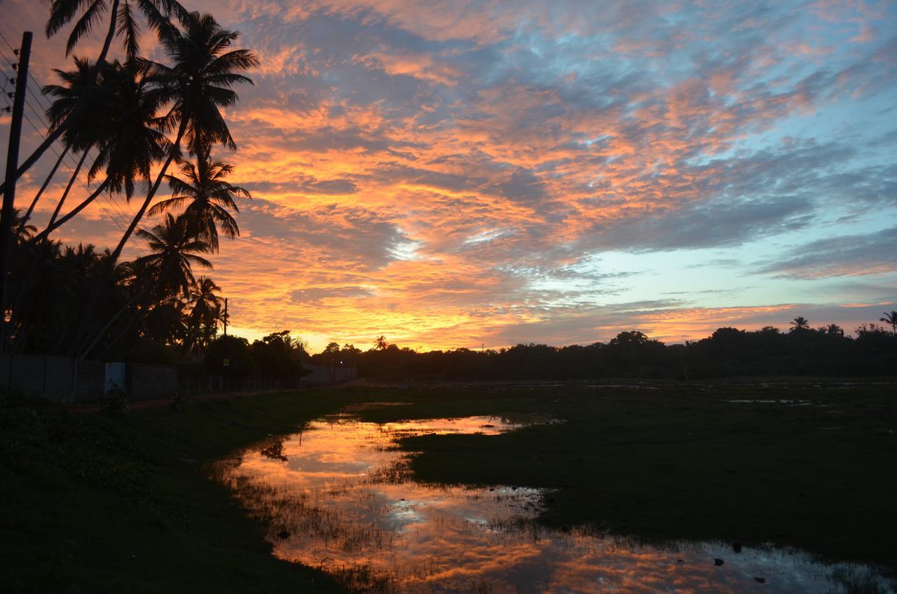 Green Parrot Beach Resort Tangalle Eksteriør billede